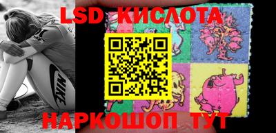 метадон Донской
